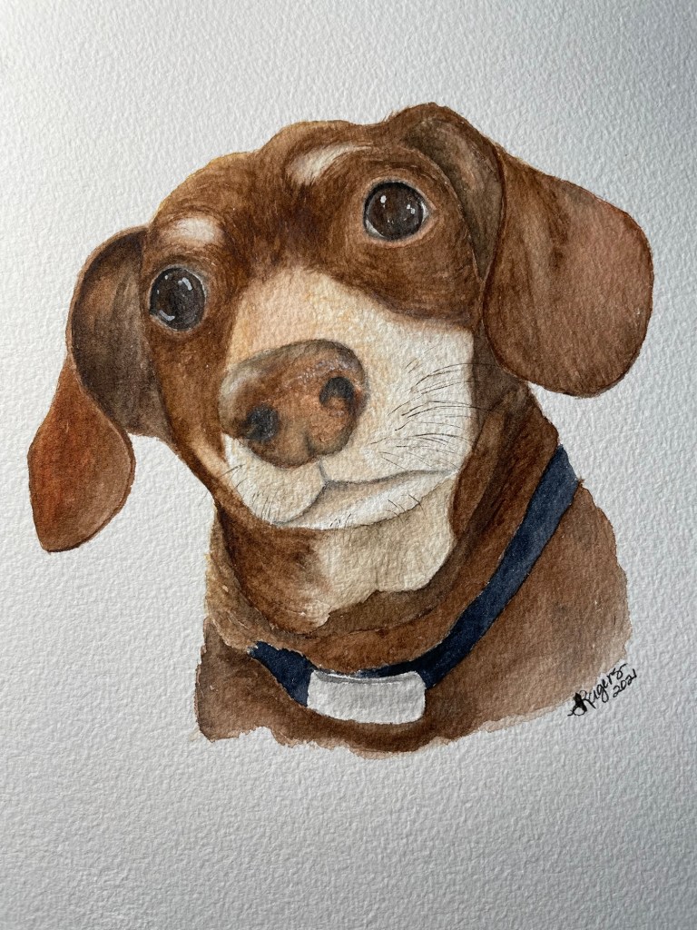 watercolor painting of a dachshund's face