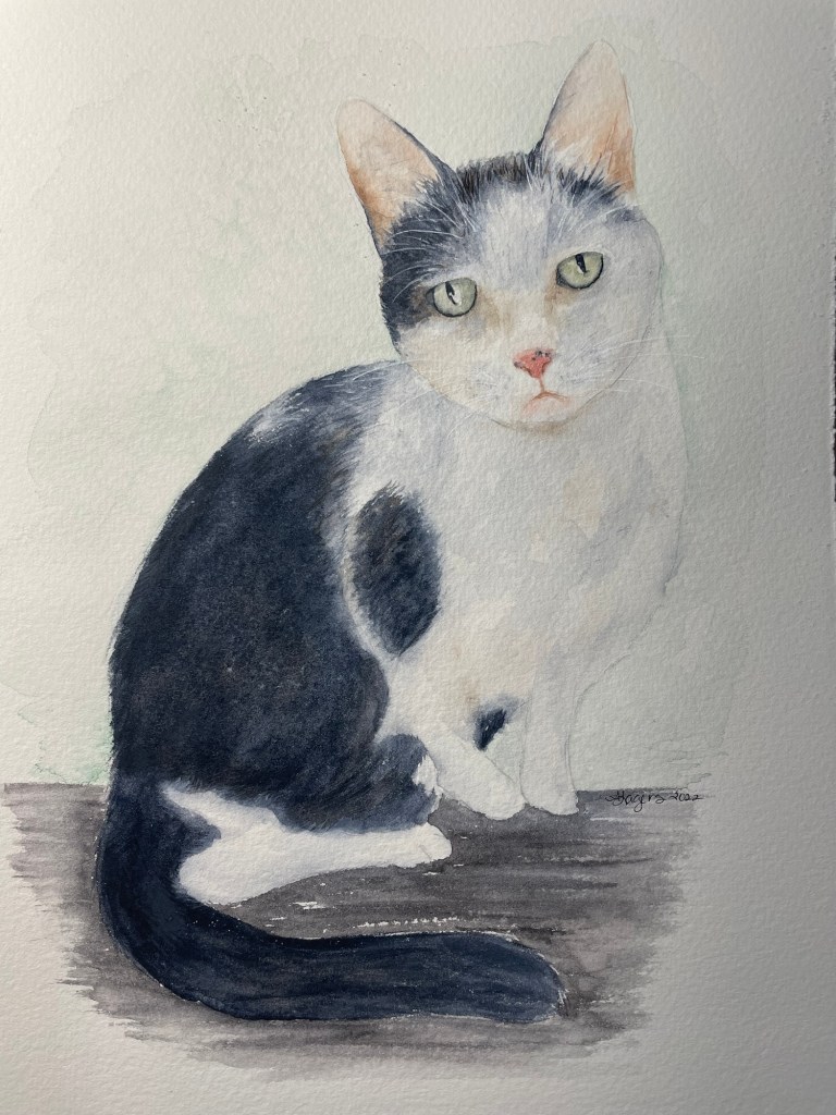 Watercolor painting of a cat